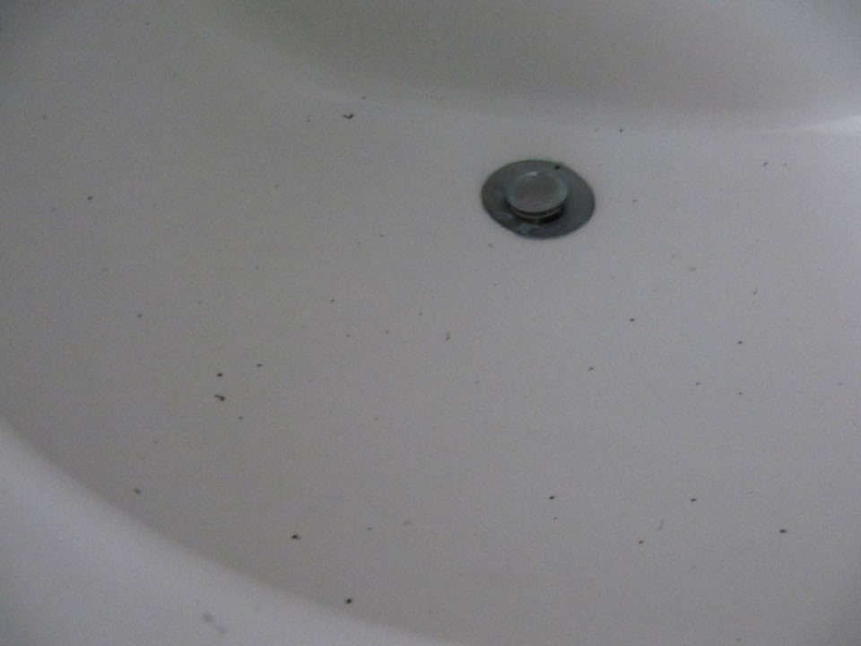 Nach der Reinigung? whala!boca chica