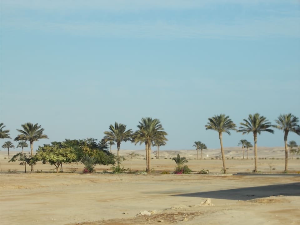 Außerhalb vom Hotel Marina Resort Port Ghalib, a member of Radisson Individuals