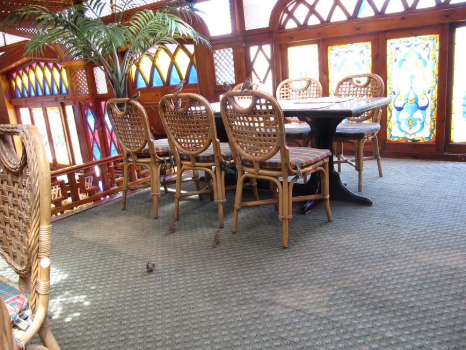 Spatzen im Restaurant Arabesque The Grand Hotel Hurghada