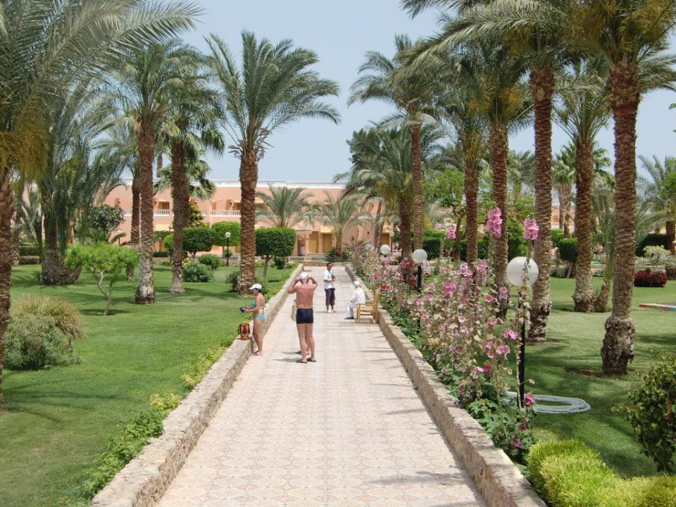 Gartenanlage Beach Albatros Resort