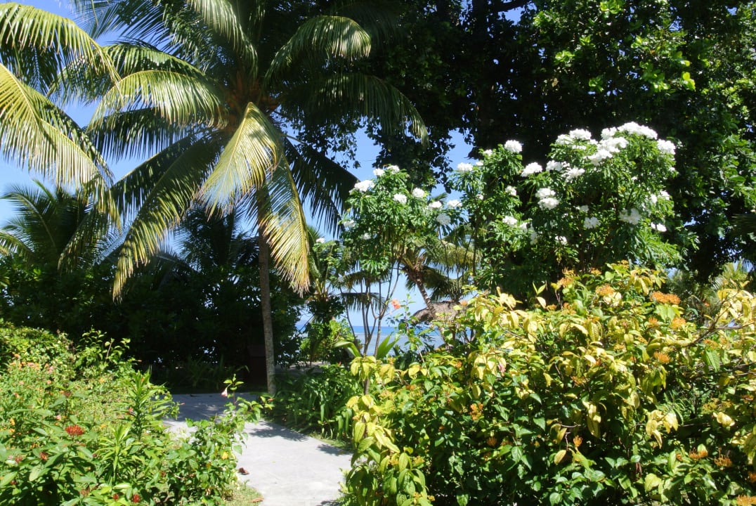Ausblick vom Sitzplatz La Digue Island Lodge