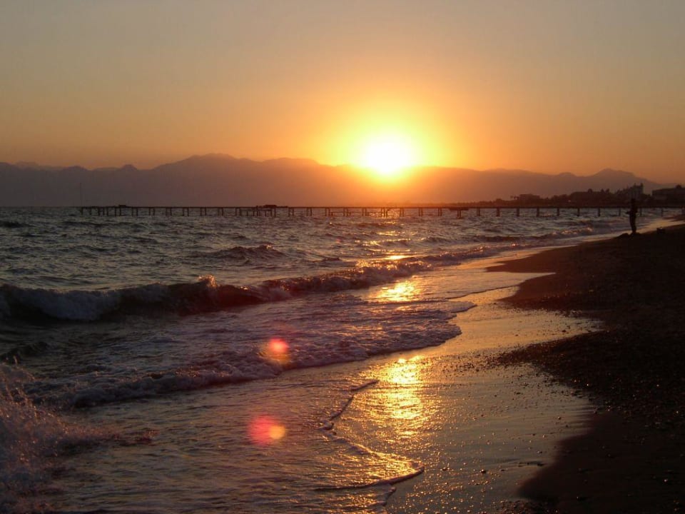 Sonnenuntergang am Meer Papillon Belvil