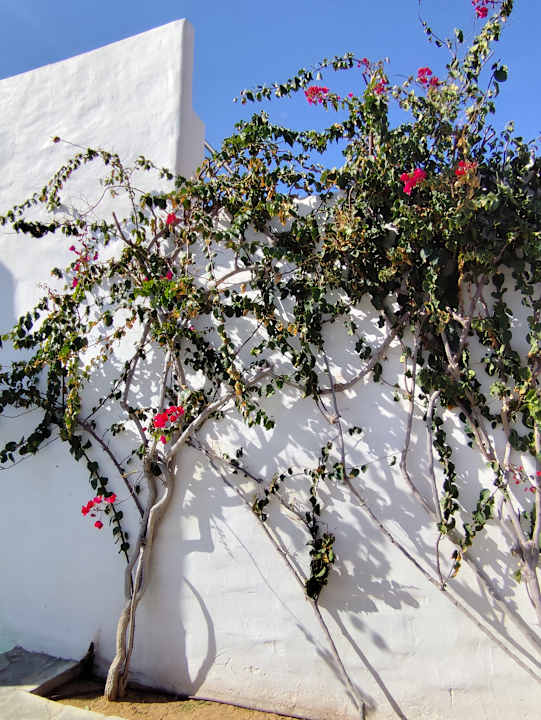 Gartenanlage Knossos Beach Bungalows Suites Resort & Spa