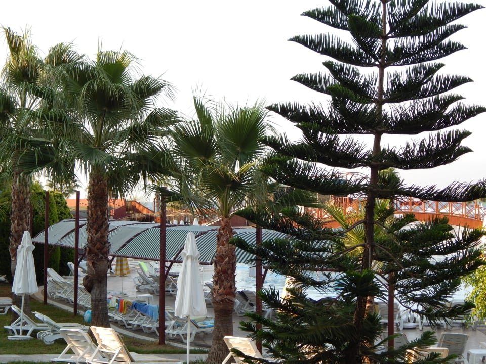 Basen Oz Hotels Incekum Beach