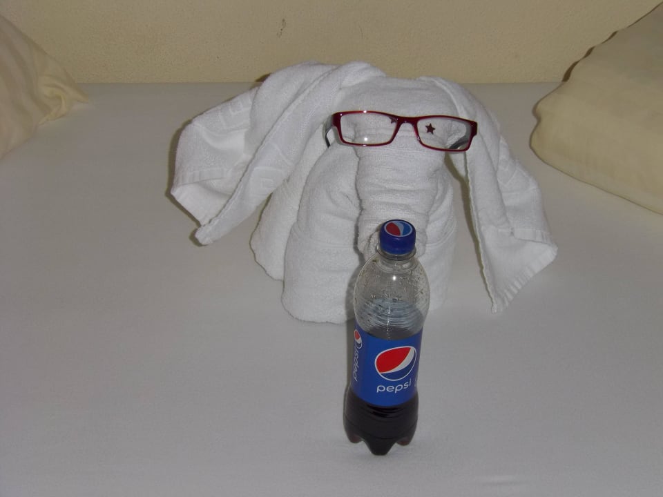 DURSTIGER BRILLENELEFANT SCOL Sporthotel Zillertal