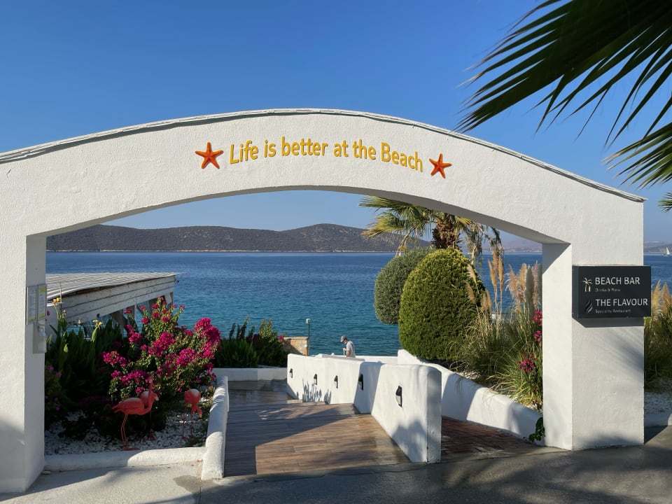 Ausblick TUI MAGIC LIFE Bodrum - Adult Only (16+)