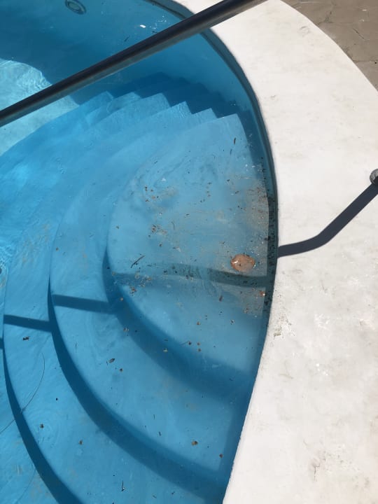 Pool Meliá Punta Cana Beach Resort - A Wellness Inclusive For Adults Only