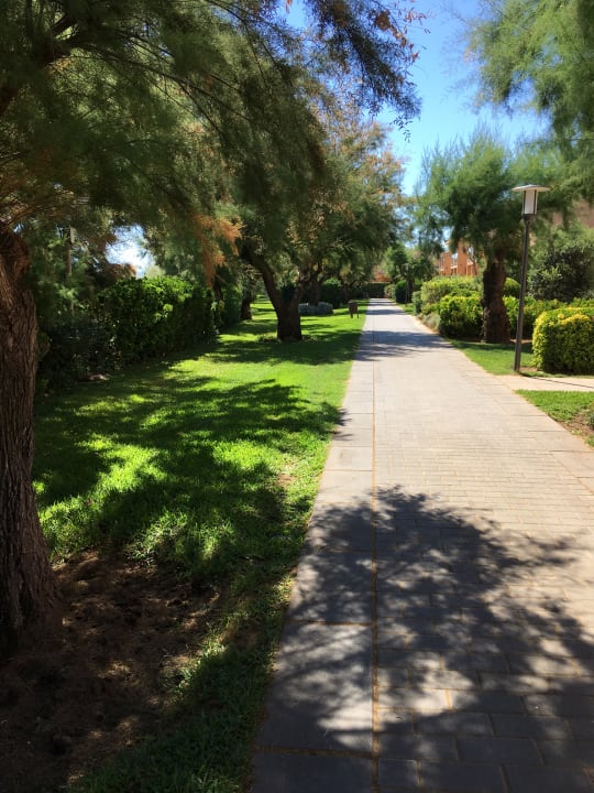 Gartenanlage PortBlue Club Pollentia Resort & Spa