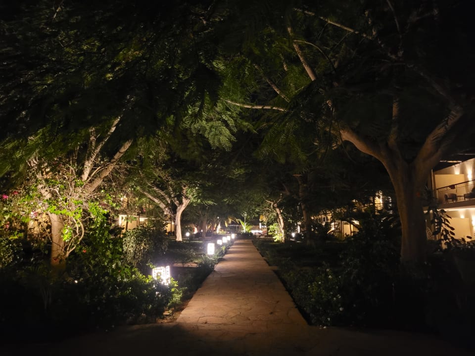 Gartenanlage TUI Blue Bahari Zanzibar