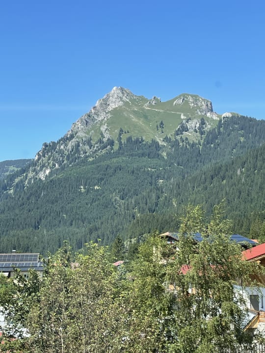 Ausblick Almhotel Told