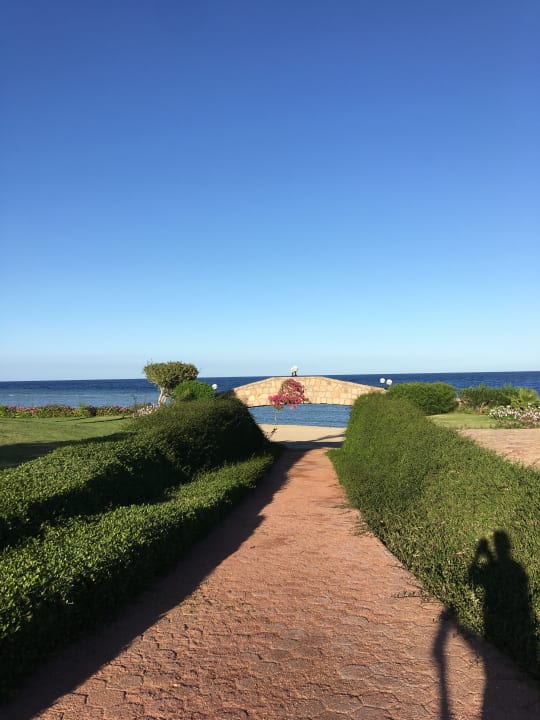 Gartenanlage Three Corners Equinox Beach Resort