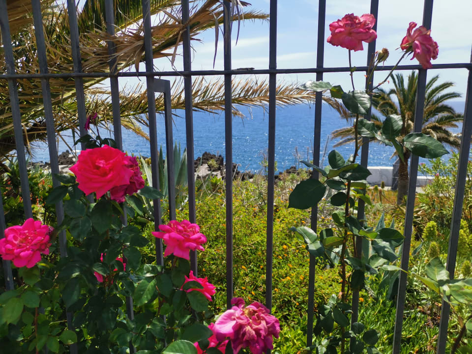 Gartenanlage Alto Lido