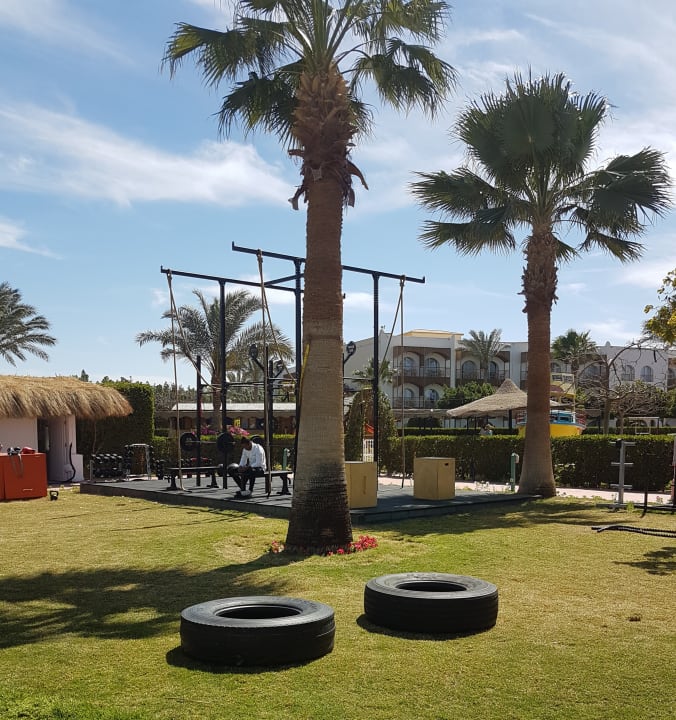 Sport & Freizeit Desert Rose