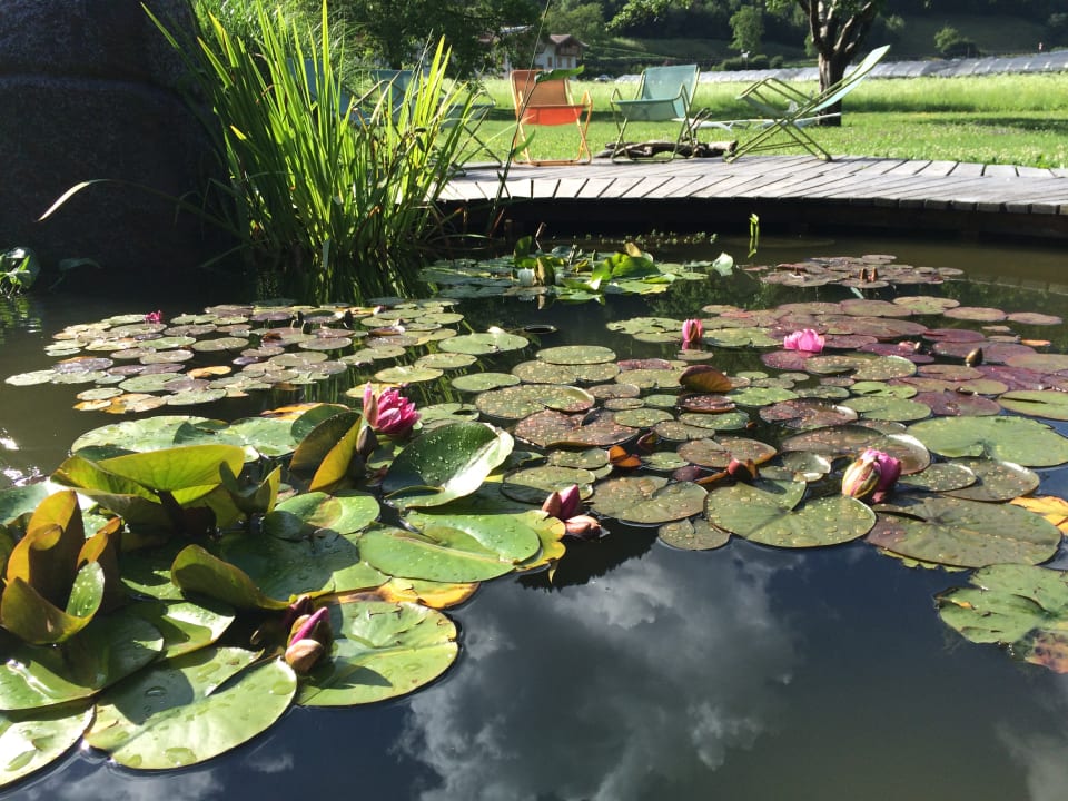 Gartenanlage Da Elda Natural Retreat