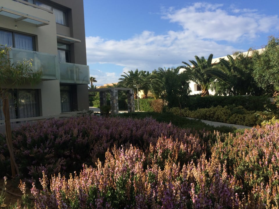 Gartenanlage Akti Palace Resort & Spa