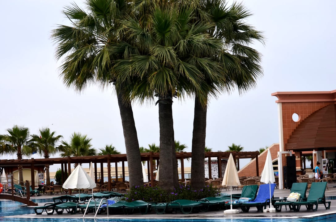 Pool Megasaray Club Belek