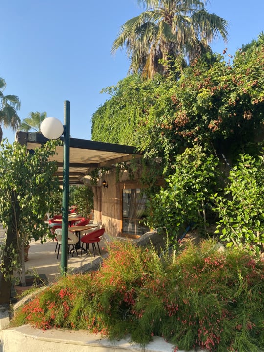 Gastro VONRESORT Golden Beach