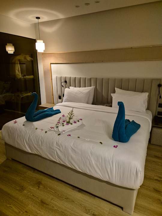 Zimmer Shams Prestige Abu Soma-Adults Only