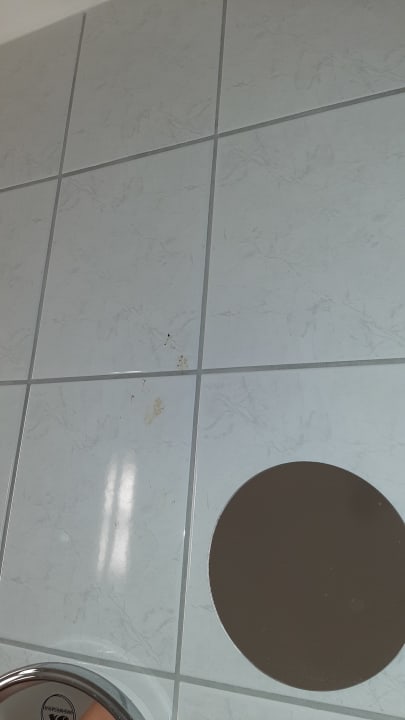 Zimmer Meister Bär Hotel Vogtland