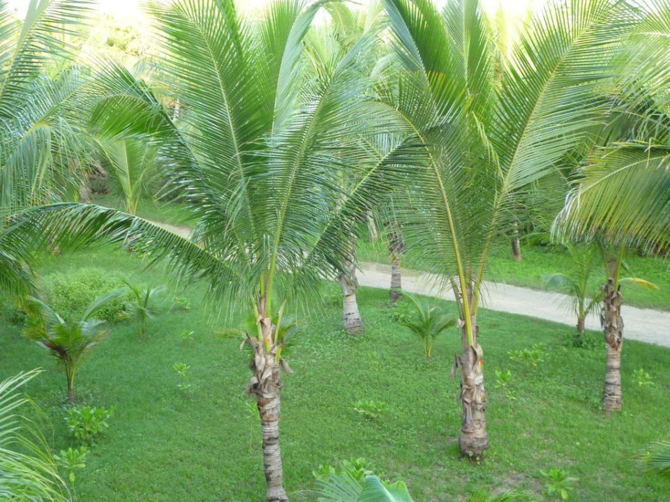 Arrière de l'hotel Akumal Bay Beach & Wellness Resort