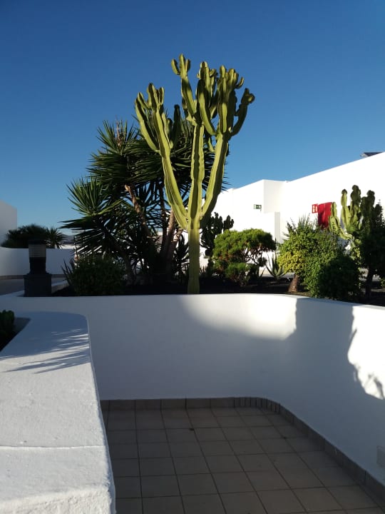 Gartenanlage Hotel Las Costas