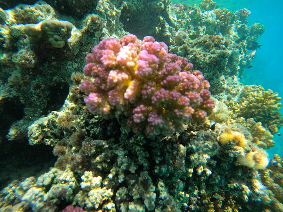 Sonstiges Pickalbatros Villaggio Resort - Portofino