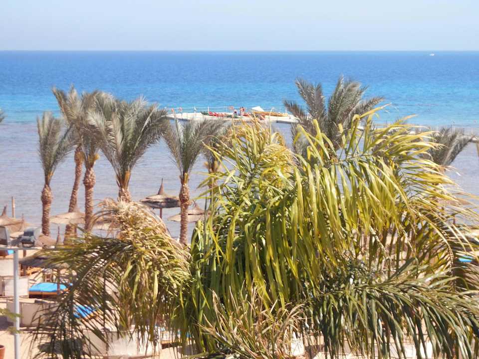 Schwimm-Steg Pickalbatros Palace Resort