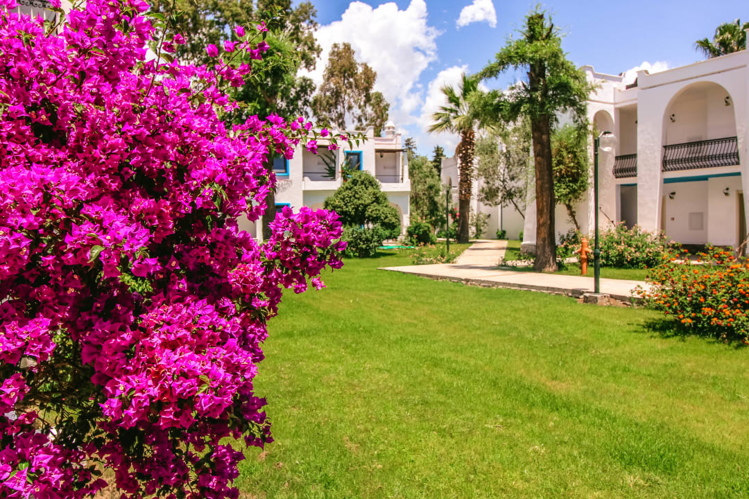 Gartenanlage Hotel Club Muskebi