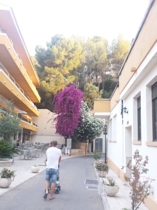 Eingang zum Hotel FLOR los Almendros Hotel