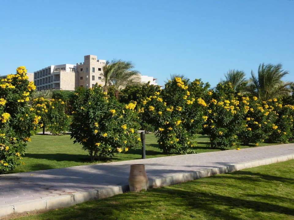 Blick vom Strand zum Hotel Fort Arabesque Resort, Spa & Villas
