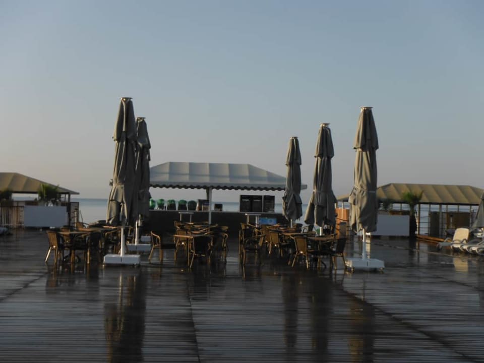 Royal Seginus Royal Seginus