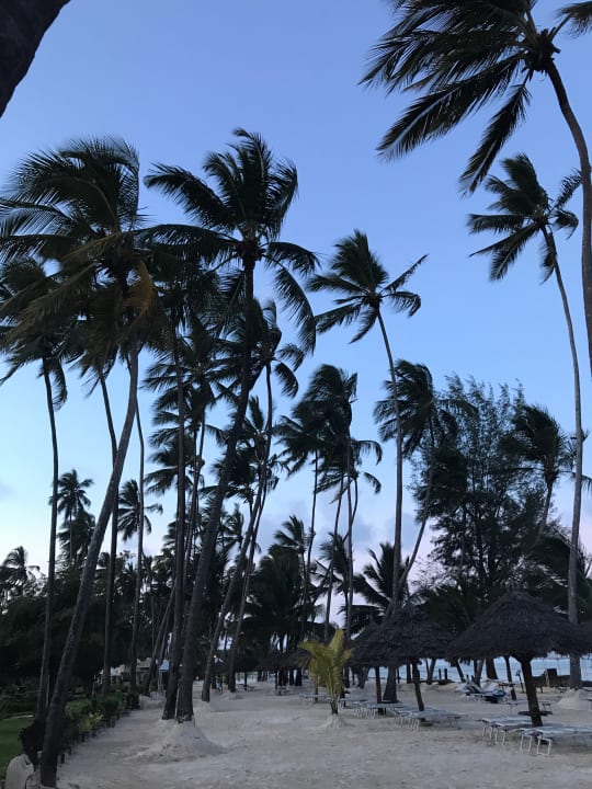 Strand TUI Blue Bahari Zanzibar