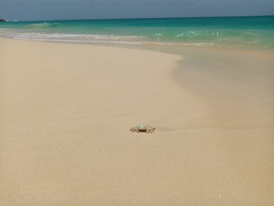 Strand Hotel Riu Touareg