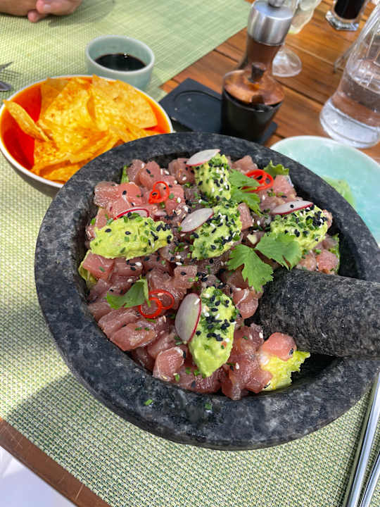 Gastro Constance Lemuria