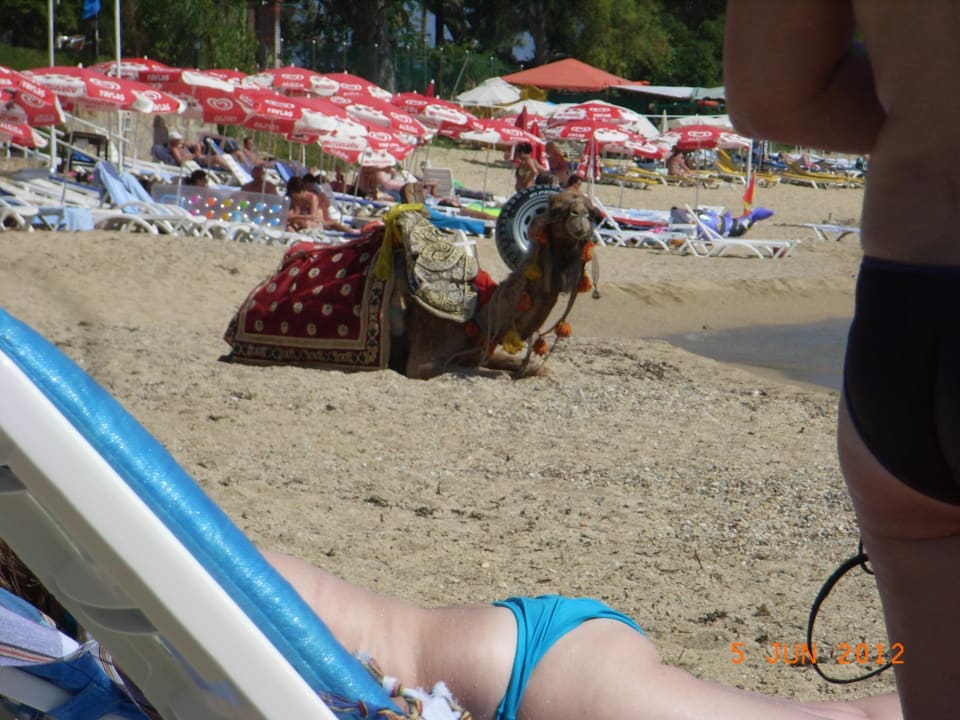 Jeden Tag ein Besuch Özkaymak Select Resort Hotel