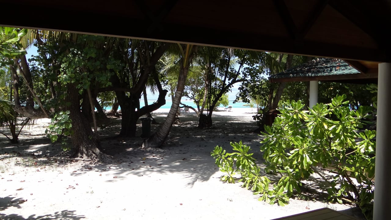 Blick zum Strand vom Bungalow 211 Meeru Maldives Resort Island