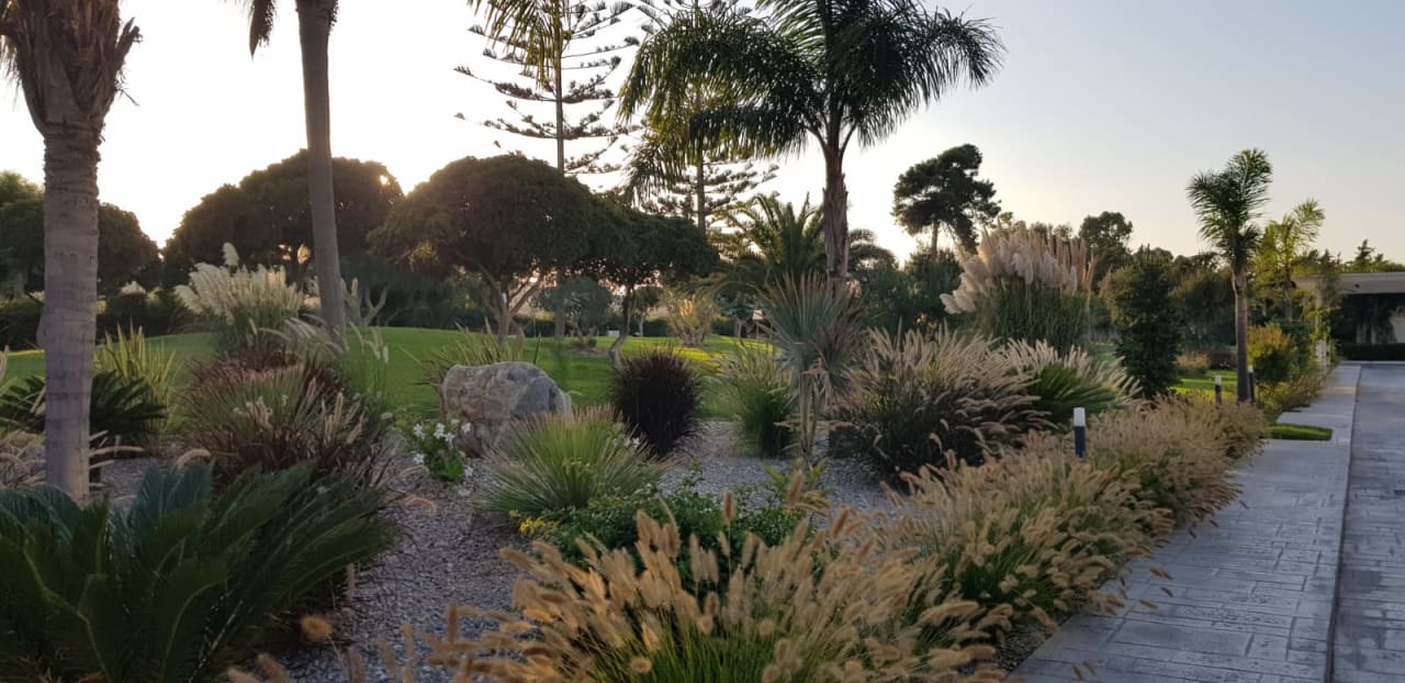 Gartenanlage TUI BLUE Oceanis Beach and Spa Resort