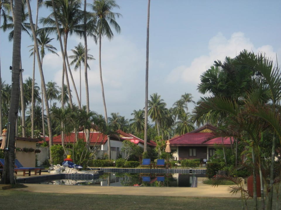 Pool und Anlage Viva Vacation Resort