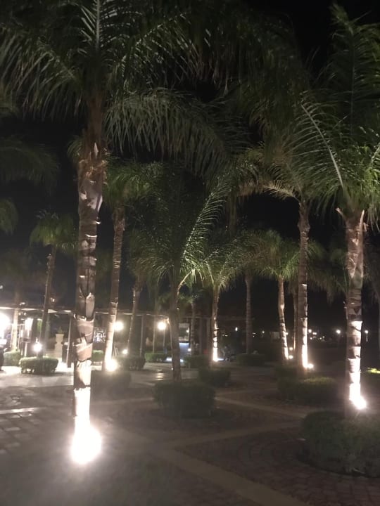 Gartenanlage Steigenberger ALDAU Beach Hotel