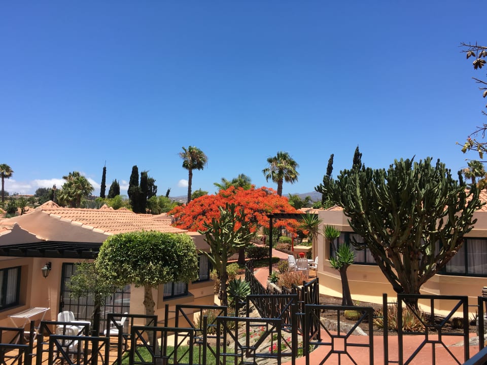 Gartenanlage allsun Hotel Esplendido