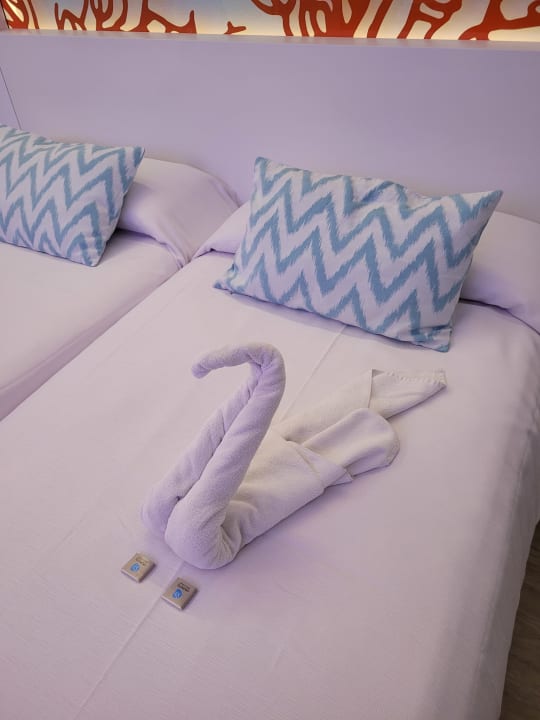 Zimmer The Sea Hotel by Grupotel - Adults only