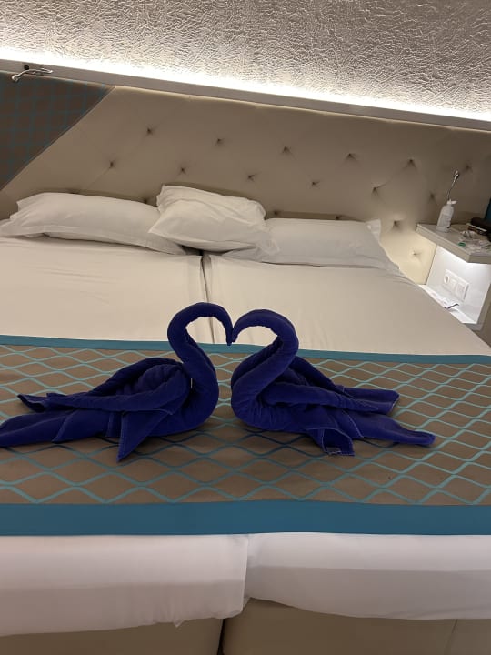 Zimmer Sentido Marea