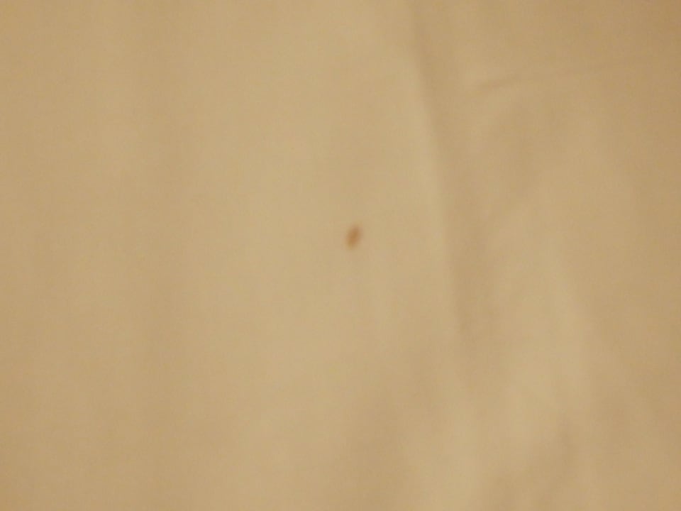 Blutfleck auf dem angeblich neuen Bettlaken Titanic Resort & Aqua Park