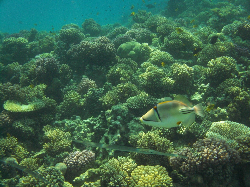 Riff am Hotel Titanic Beach Spa & Aqua Park