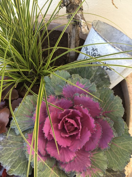 Sonstiges Landhotel Zum Singenden Musikantenwirt