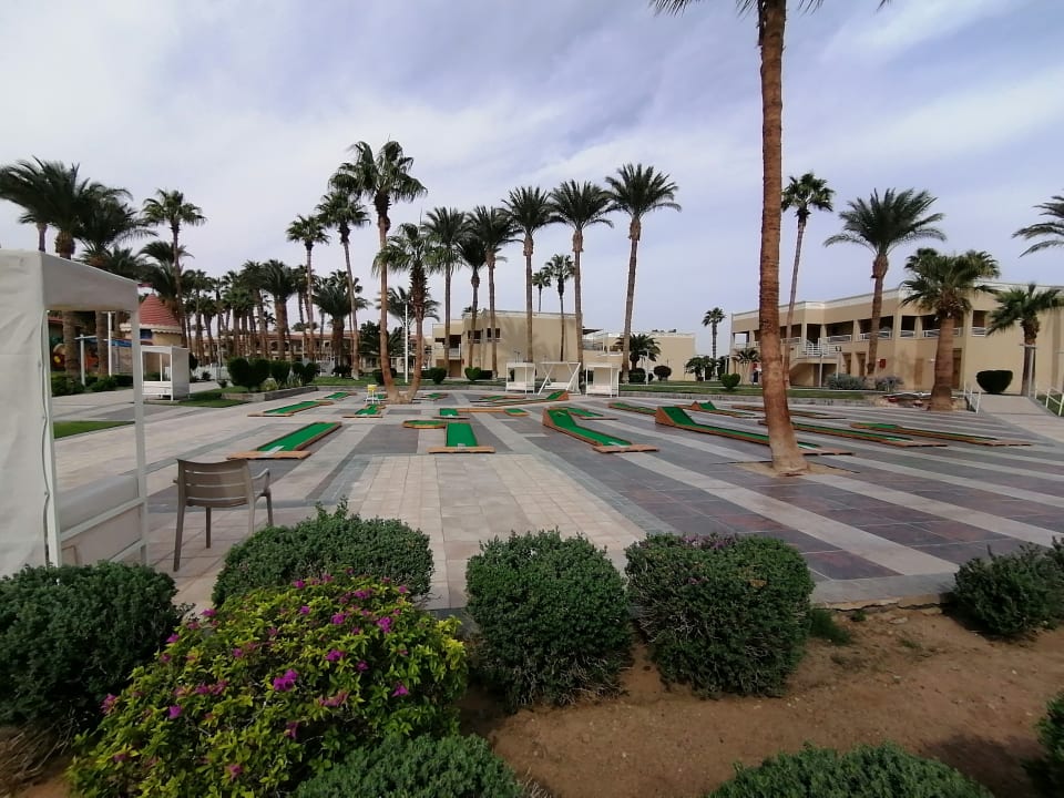 Sport & Freizeit Beach Albatros Resort