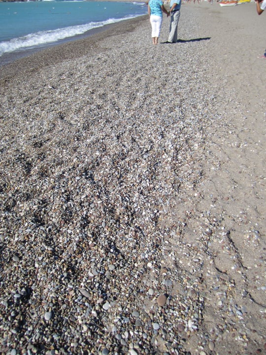 Empfehle Badeschuhe Hotel Gardenia Beach
