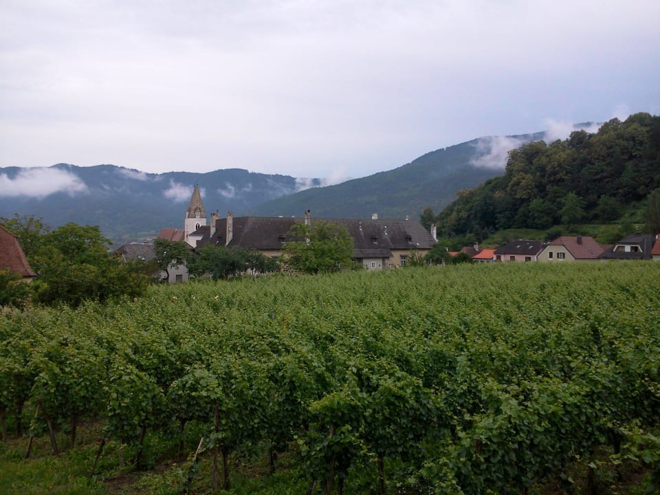 Blick aus unserem Zimmer  Hotel Garni Weinberghof & Weingut Lagler