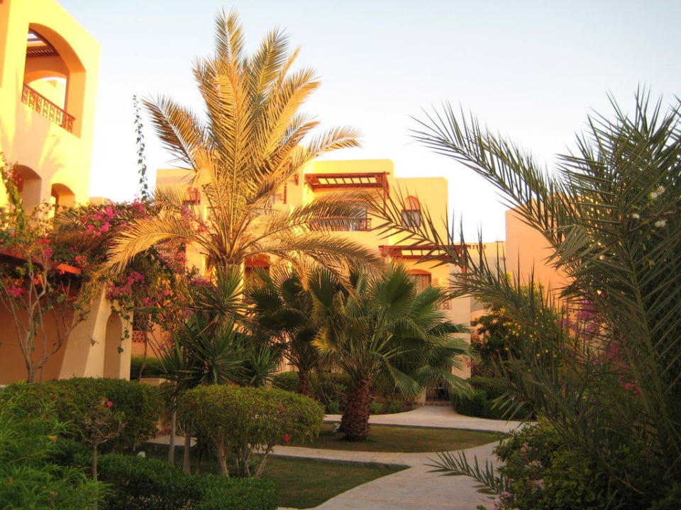 Gartenanlage Steigenberger Coraya Beach - Adults only