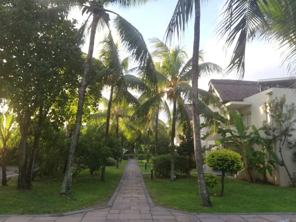 Garten Ambre Mauritius